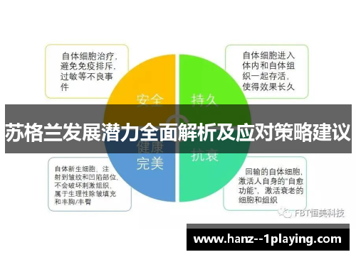 苏格兰发展潜力全面解析及应对策略建议 苏格兰发展潜力全面解析及应对策略建议