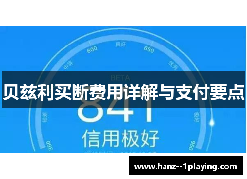 贝兹利买断费用详解与支付要点