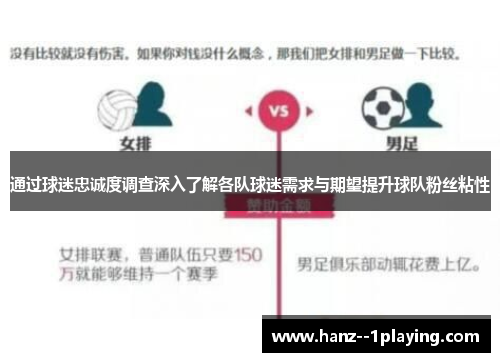 通过球迷忠诚度调查深入了解各队球迷需求与期望提升球队粉丝粘性