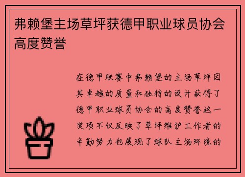弗赖堡主场草坪获德甲职业球员协会高度赞誉 弗赖堡主场草坪获德甲职业球员协会高度赞誉